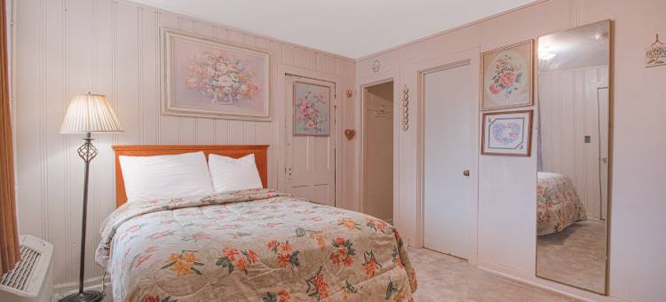 向日葵汽车旅馆海厄瓦萨By OYO(Sunflower Motel Hiawatha by OYO)图片