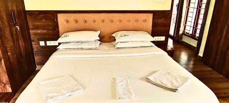 顶峰民宿(The Summit Homestay)图片