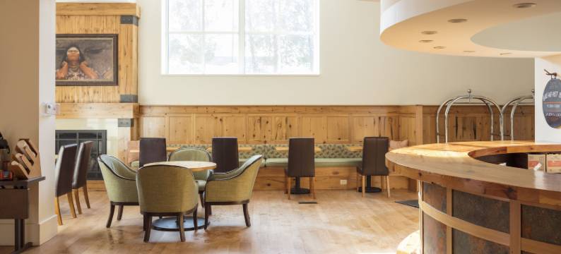 叙拉古斯凯勒酒店，希尔顿启缤精选(Hotel Skyler Syracuse, Tapestry Collection by Hilton)图片