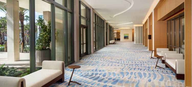 康莱德奥兰多(Conrad Orlando)图片