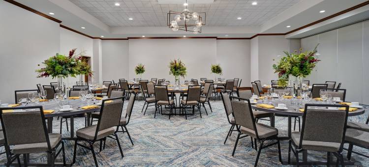 休斯顿医疗中心希尔顿花园酒店(Hilton Garden Inn Houston Medical Center, TX)图片