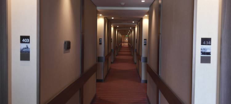 巴耶杜帕尔希尔顿欢朋酒店(Hampton Inn by Hilton Valledupar)图片