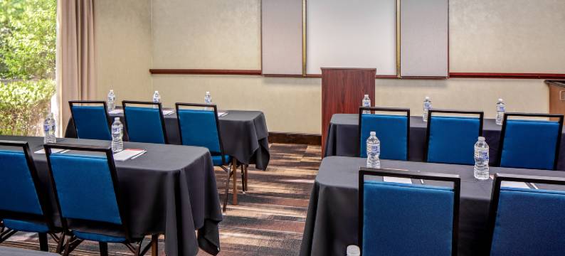 亚特兰大-德卢斯-格威内特县欢朋套房酒店(Hampton Inn & Suites Atlanta/Duluth/Gwinnett County)图片