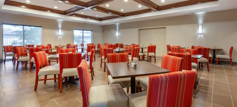 奥什科什舒适套房酒店(Comfort Suites)图片