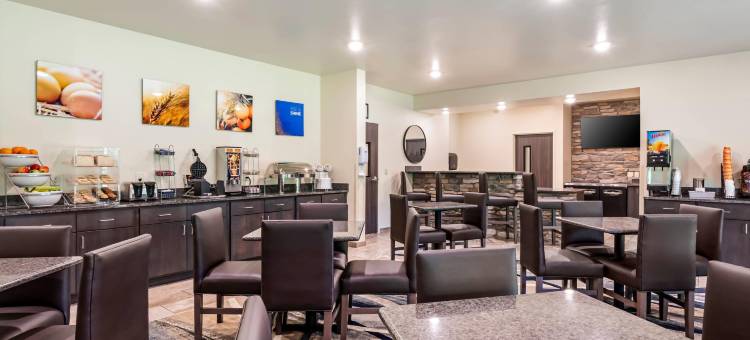 舒适酒店及套房梅迪纳纽约靠近伊利运河(Comfort Inn & Suites Medina NY Near Erie Canal)图片