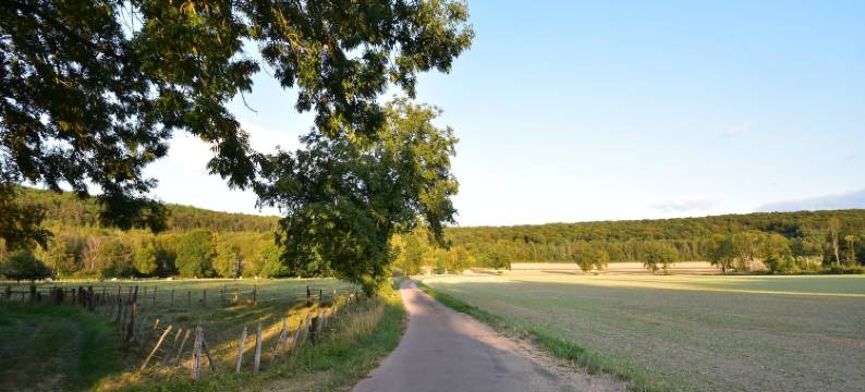 Villa with Spa & Pool图片