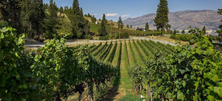 Super 8 by Wyndham Penticton图片