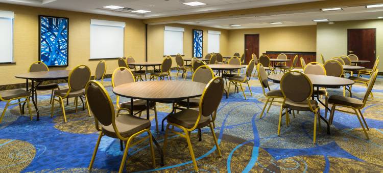 智选假日套房酒店米德兰环250(Holiday Inn Express & Suites Midland Loop 250)图片