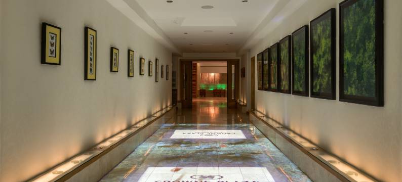 Crowne Plaza 都柏林 - 诺斯伍德(Crowne Plaza DUBLIN AIRPORT by IHG)图片