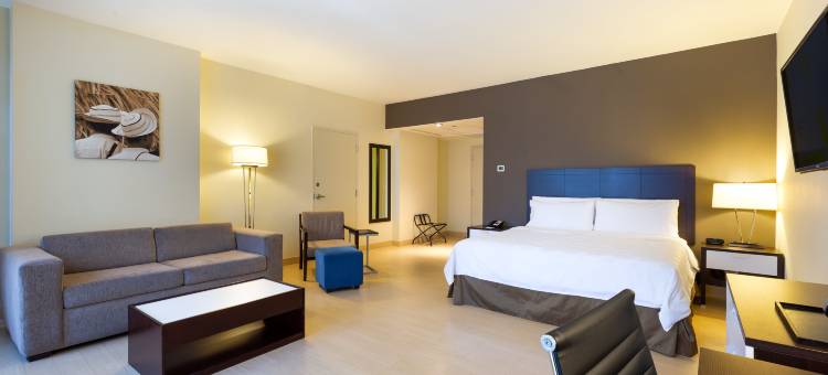 Holiday Inn 巴拿马城(Holiday Inn PANAMA DISTRITO FINANCIERO by IHG)图片