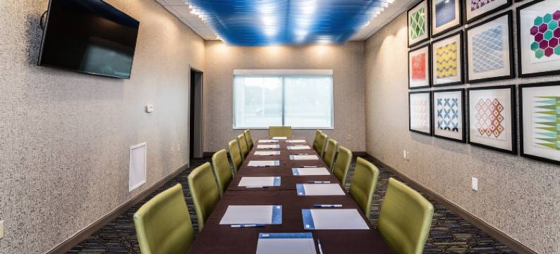 艾伦帕克智选假日套房酒店(Holiday Inn Express & Suites ALLEN PARK by IHG)图片