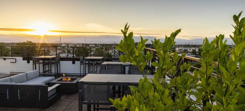 达令酒店(The Darling)图片