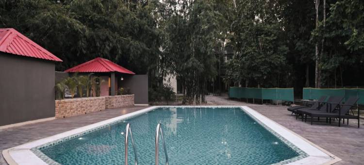 伊罗伊卡齐兰加(Irroi Kaziranga)图片