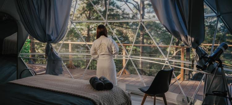 小松树豪华露营(Tiny Pines Glamping)图片