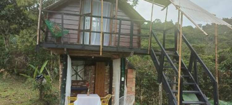 Eco Cabaña en El Campo图片