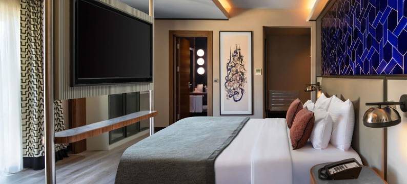 美居伊斯坦布尔 Altunizade 酒店(Mercure Istanbul Altunizade)图片