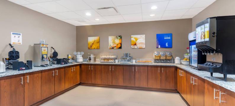 舒适套房旅馆(Comfort Inn & Suites)图片