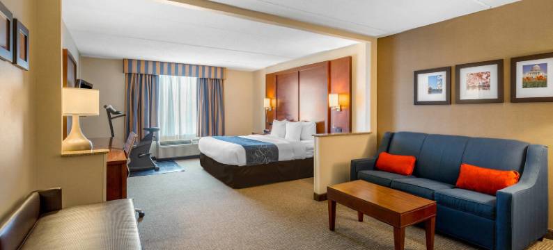曼纳萨斯战场公园舒适套房酒店(Comfort Suites Manassas Battlefield Park)图片