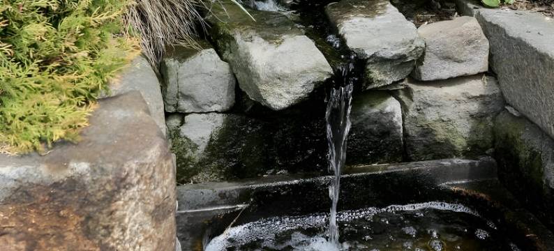 图尔姆森酒店(Landhotel Thürmchen)图片