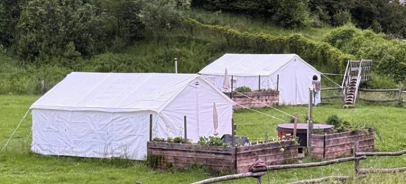 维也纳阿尔卑斯山的野外豪华露营(Wild Glamping in the Vienna Alps)图片