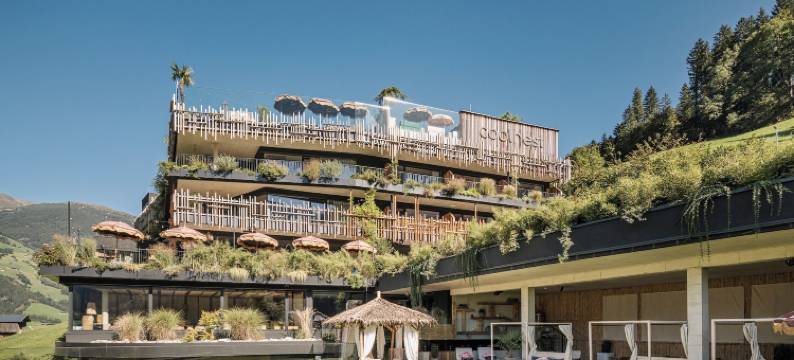 酷巢(Coolnest)图片