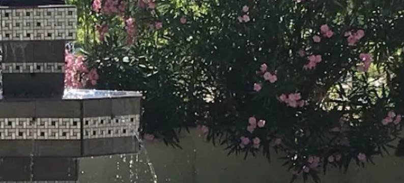 加利马尔酒店(hôtel le Galimar)图片