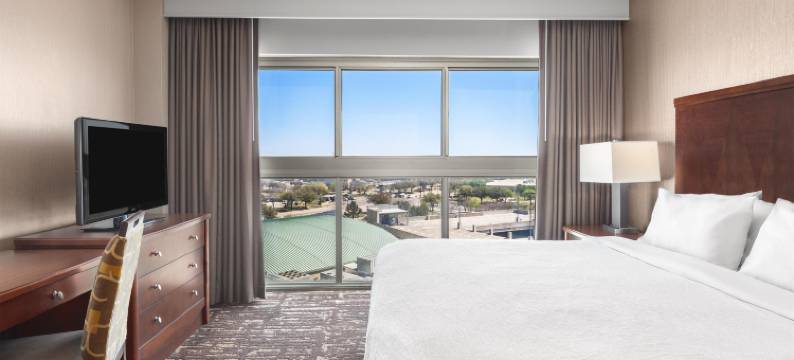 达拉斯弗赖拉辛希尔顿安泊水疗酒店&会议中心(Embassy Suites by Hilton Dallas Frisco Hotel & Convention Center)图片