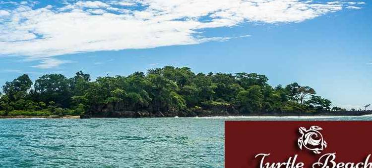 海龟海滩酒店(Turtle Beach Ujung Genteng)图片