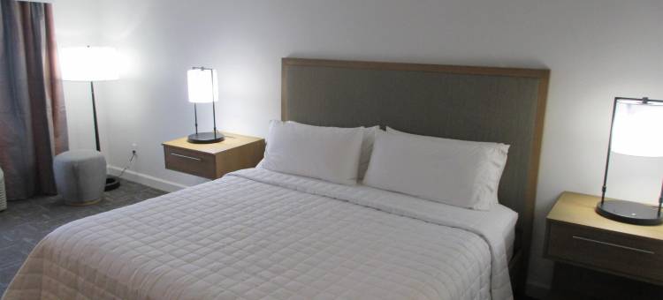 贝斯特韦斯特精品休斯敦市中心/会议中心酒店(Best Western Premier Houston Downtown/Convention Center Hotel)图片