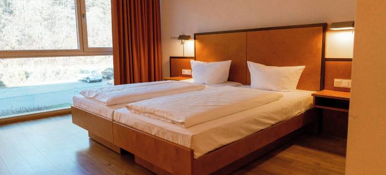 赫高酒店(Hotel Hegau)图片