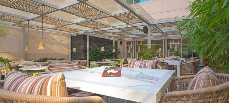 Ibis Hyderabad Hitec City图片