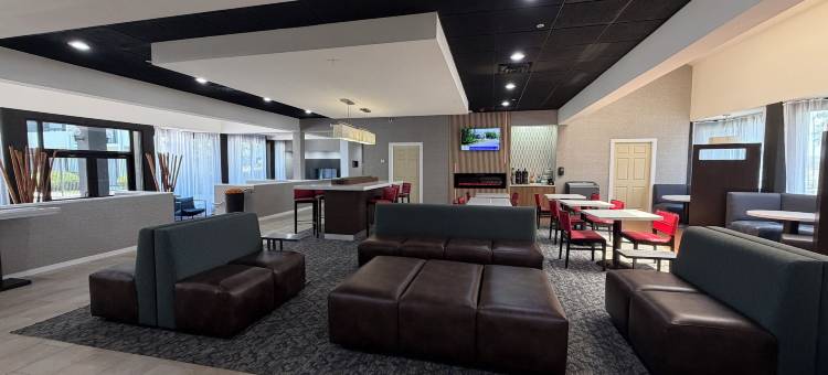 达拉斯Love Field机场浩枫温德姆酒店(Hawthorn by Wyndham Dallas Love Field Airport)图片