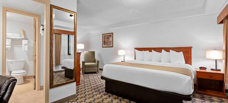 维斯塔机场贝斯特韦斯特酒店(Best Western Vista Inn at the Airport)图片
