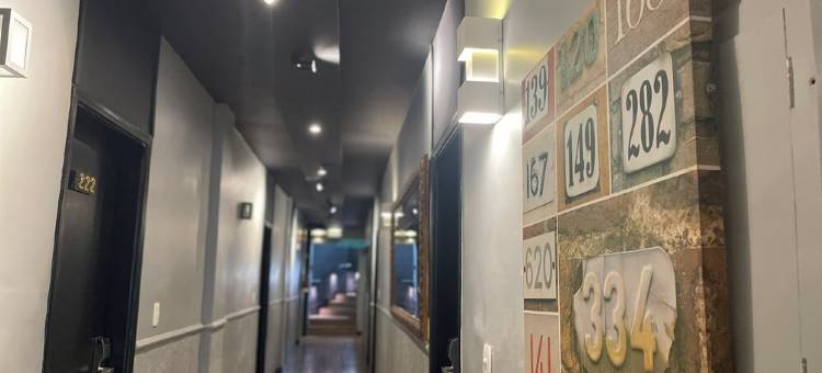 绿洲广场酒店(Oasis Plaza Hotel)图片