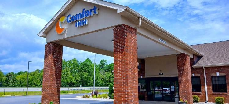 舒适酒店(Comfort Inn Near Downtown & Blue Ridge Pkwy)图片
