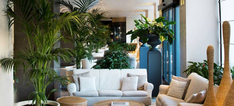 怡东高级酒店(Starhotels Excelsior)图片