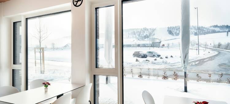 维林根B&B酒店(B&B HOTEL Willingen)图片
