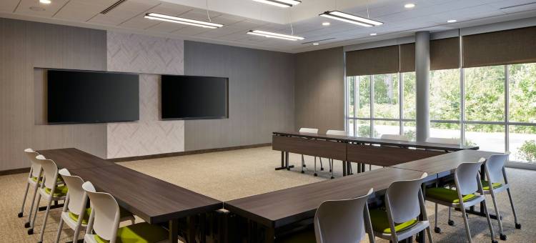 弗雷德里卡SpringHill Suites酒店(SpringHill Suites Frederica)图片