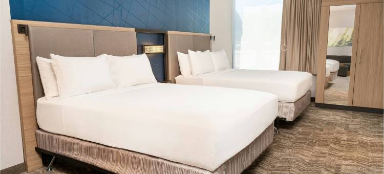 尔湾森林湖SpringHill Suites套房酒店(SpringHill Suites Irvine Lake Forest)图片