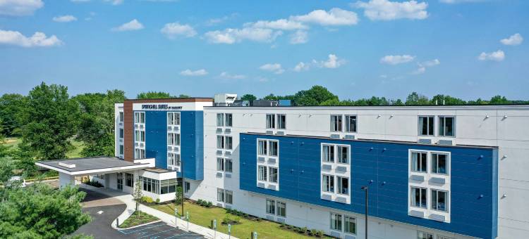 SpringHill Suites伍德布里奇酒店(SpringHill Suites Woodbridge)图片