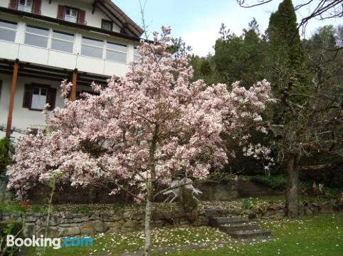 贝亚图斯酒店(Hotel Beatus)图片