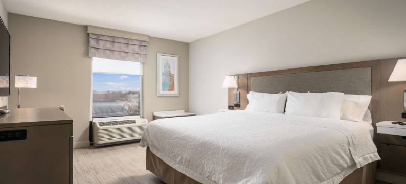 希尔顿欢朋酒店-斯普林菲尔德(Hampton Inn Springfield)图片