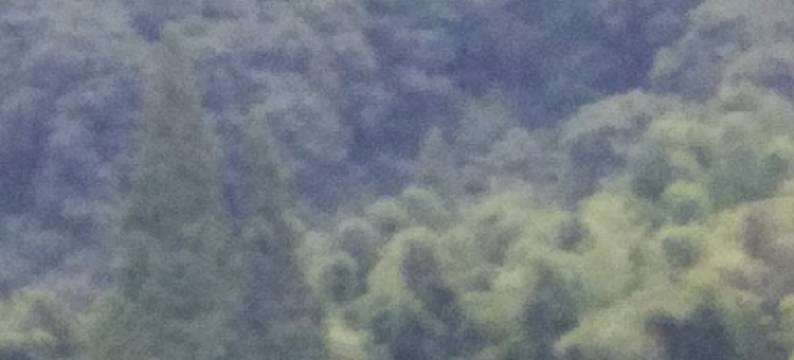 高地岭农庄(南金段分店)图片