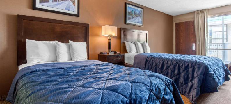 罗德威酒店(Rodeway Inn)图片