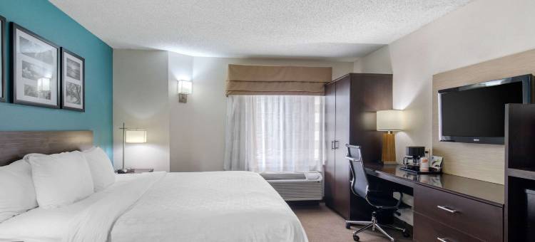 DFW北凯隆酒店(Clarion Inn & Suites DFW North)图片