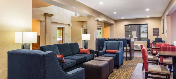 舒适套房酒店(Comfort Suites)图片