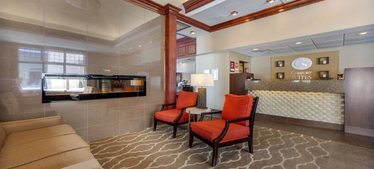 西格林贝舒适套房酒店(Comfort Suites)图片