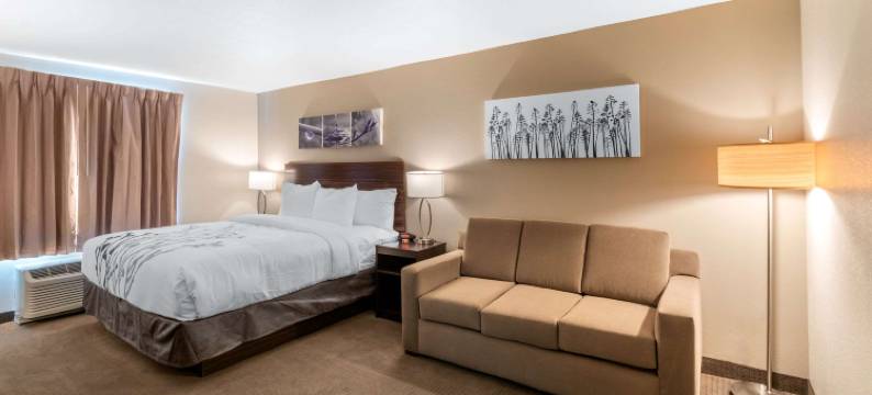 丹佛国际机场舒眠套房酒店(Sleep Inn & Suites Denver International Airport)图片