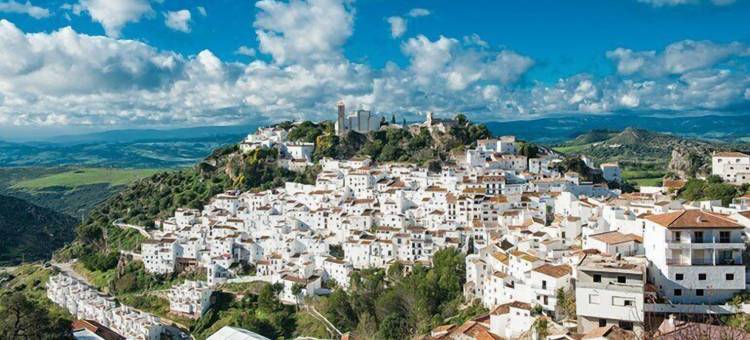 H10艾斯塔波宫酒店(H10 Estepona Palace)图片
