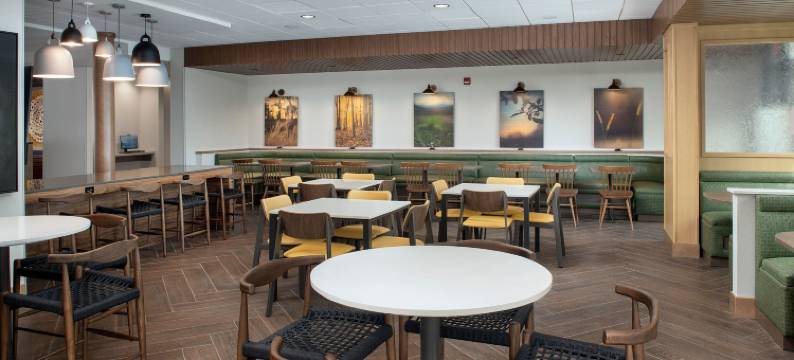 博伊西西部万豪万枫套房酒店(Fairfield Inn & Suites Boise West)图片